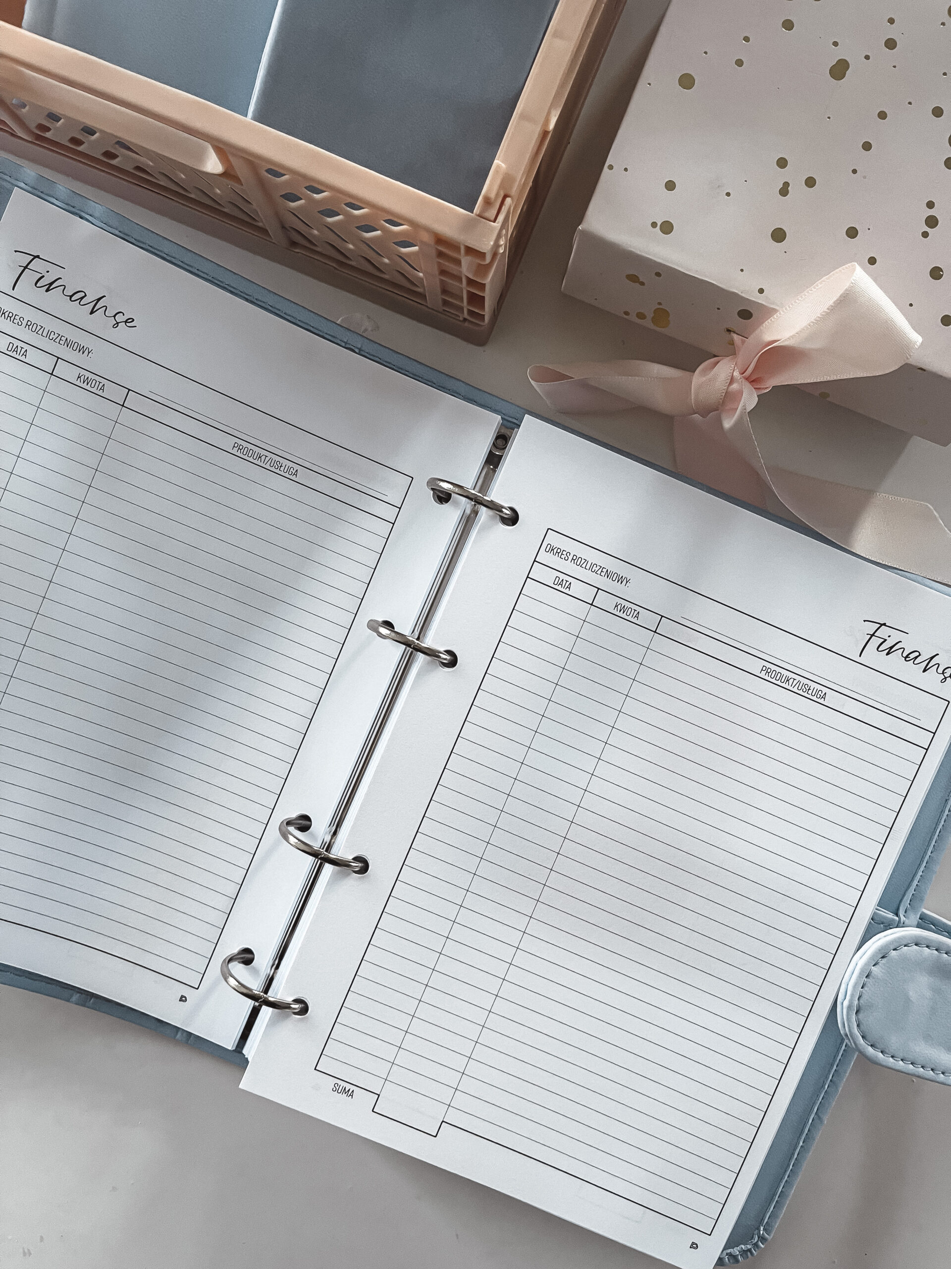 Wkład plannerowy Finanse wzór 2 - 9,5x17 cm do organizerów