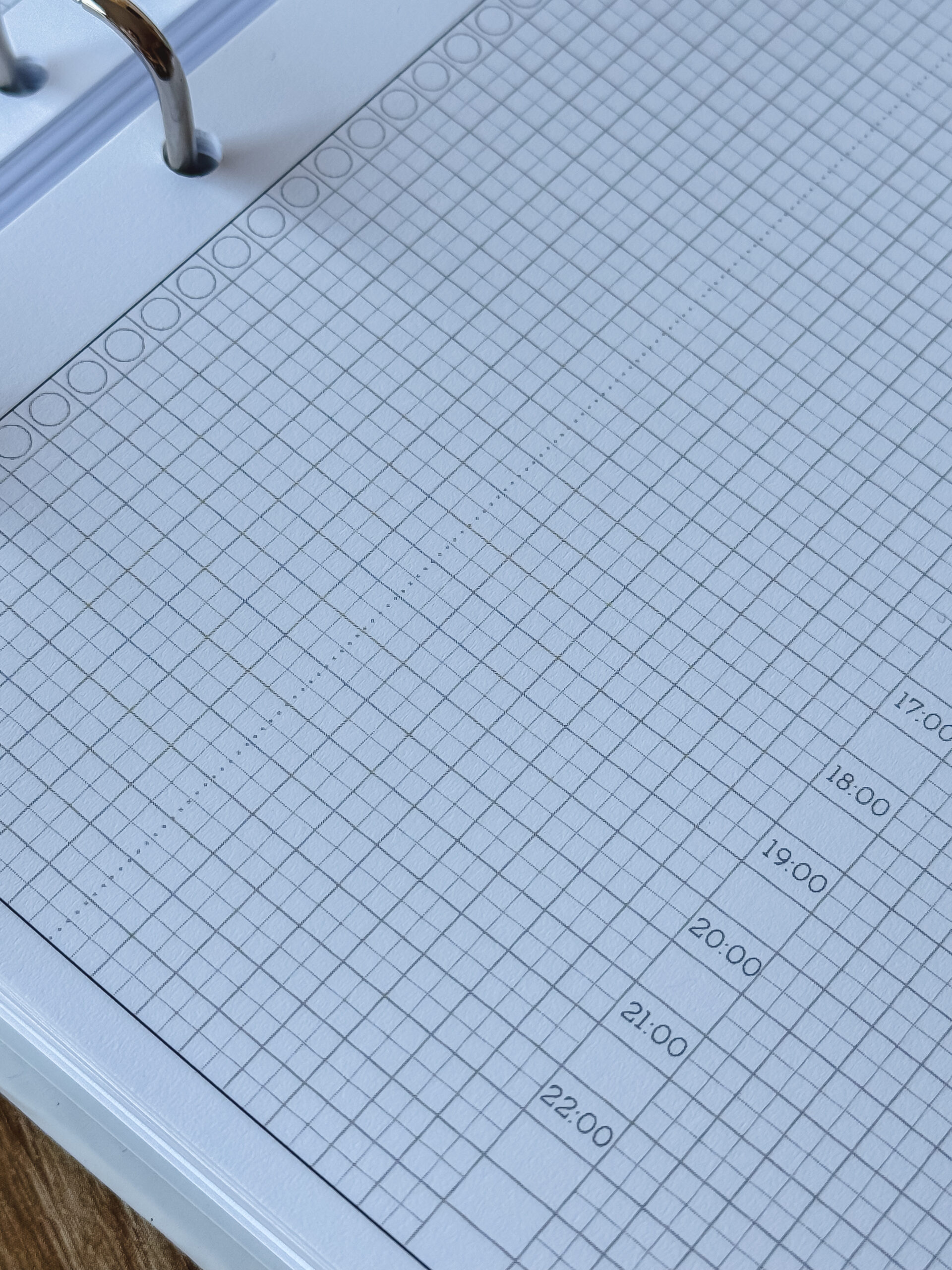 Organizer Moon A5 z kalendarzem dziennym 2026 - obrazek 3